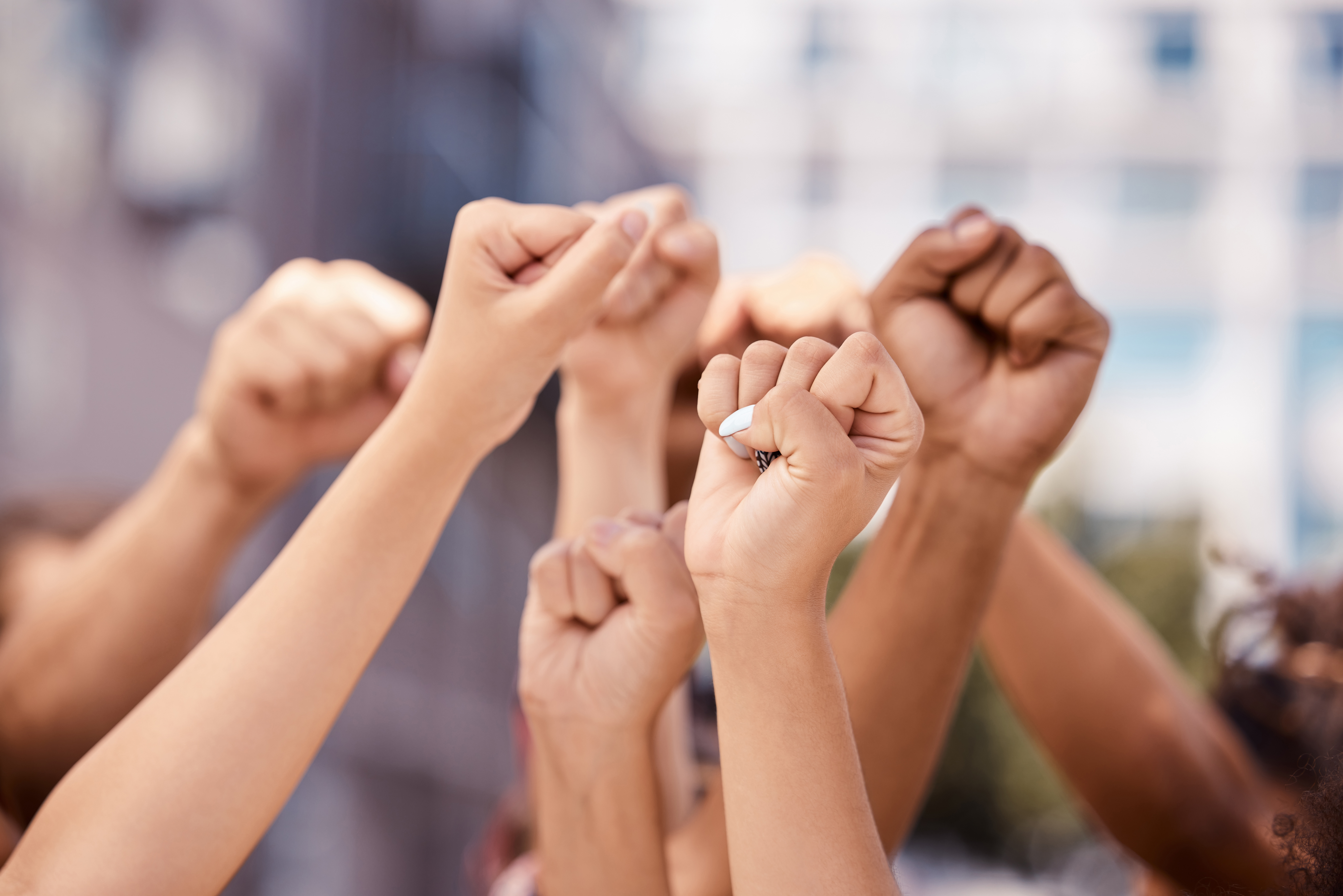 Human Rights Day